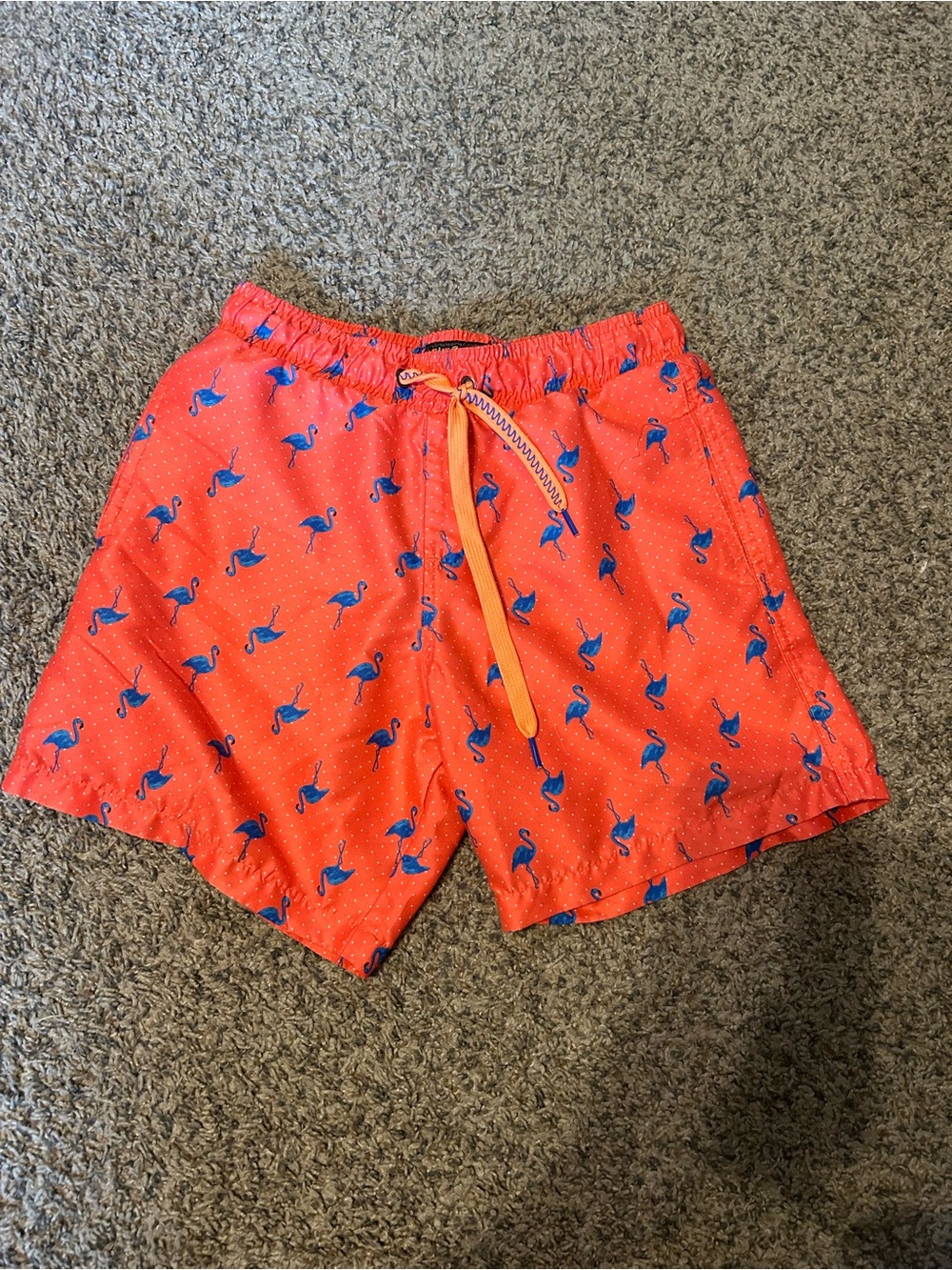 Men's Coral Swim Trunks with Blue Flamingo Print